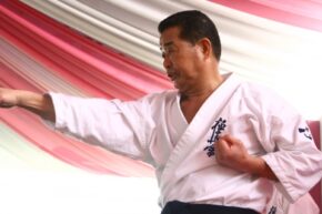 normal_shihan-yuso-goda
